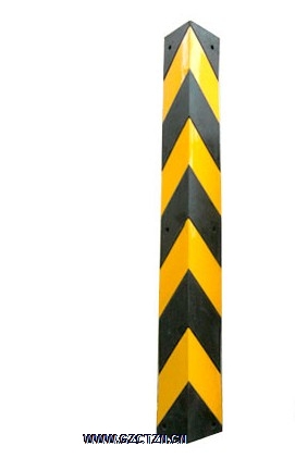 ֱ���o����