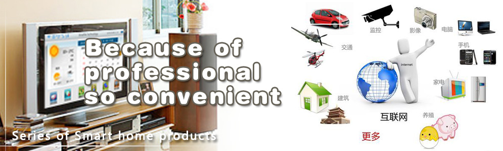 Guangzhou CT Intelligent System Co., Ltd.